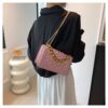 Pink-Small Chain Bag